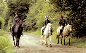 Riding in Shropshire