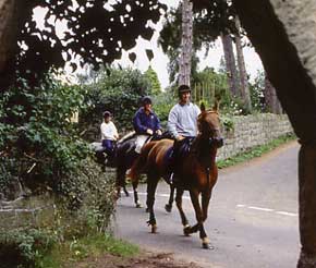 Horse Riding in Shropshire