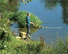 Fishing in Shropshire