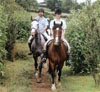 Horse Riding in Shropshire