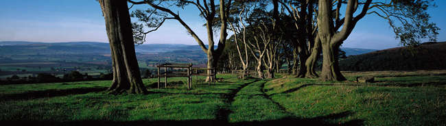 Shropshire Countryside