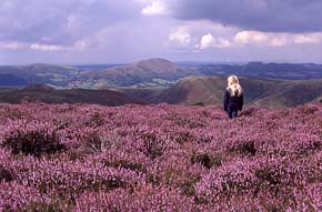 South Shropshire Hills