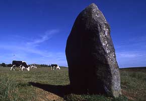 Standing Stone - Mitchels Fold